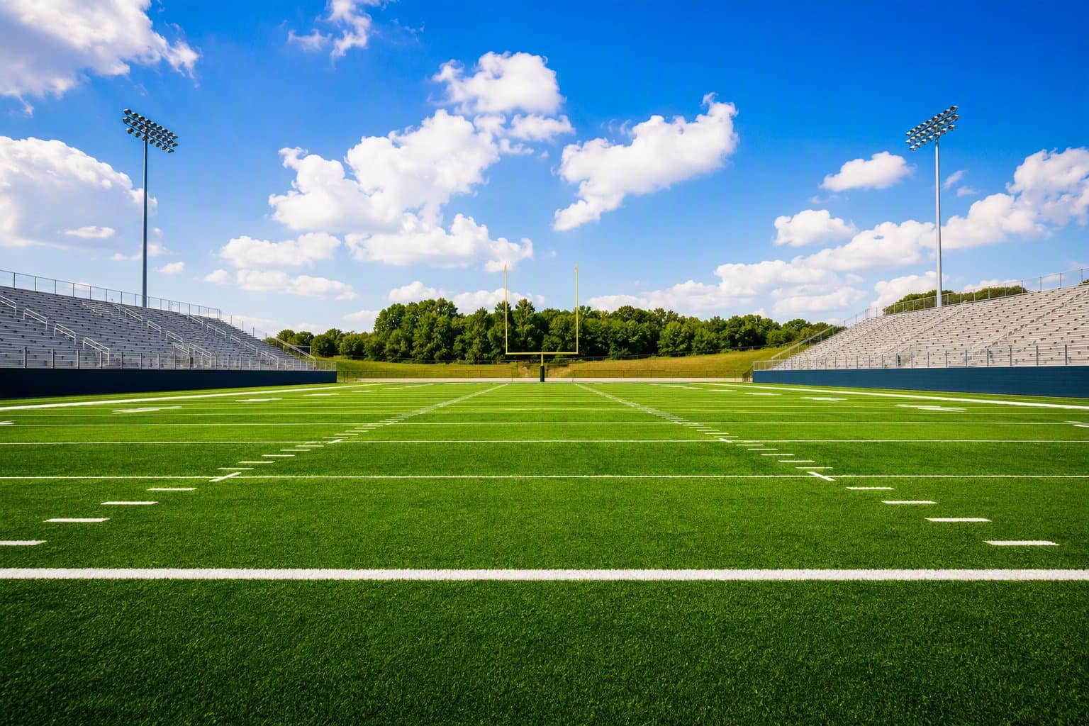 new stadium turf - illustration, Jake Team LLC