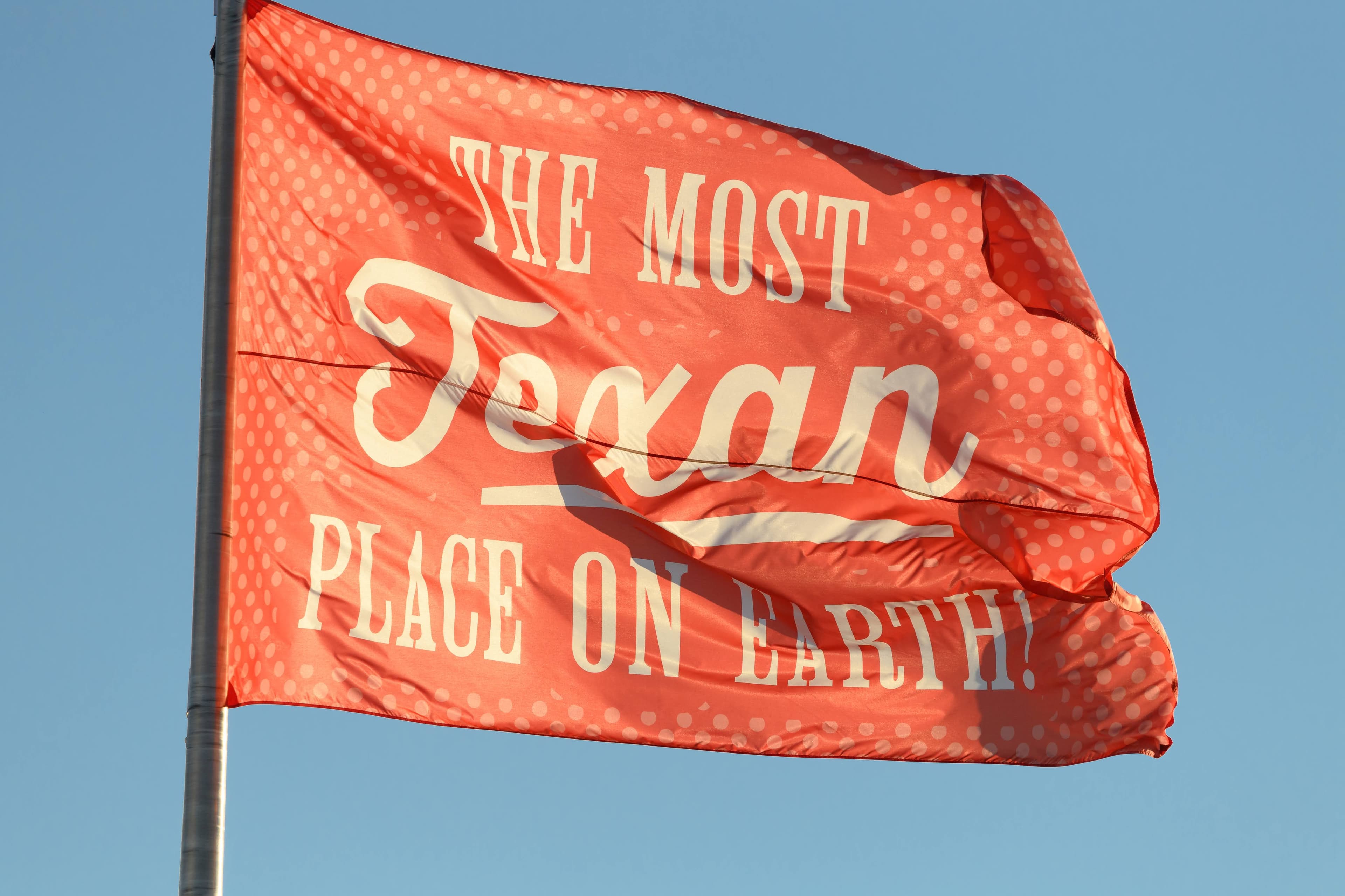 File photo: A red State Fair flag flies against a blue sky.