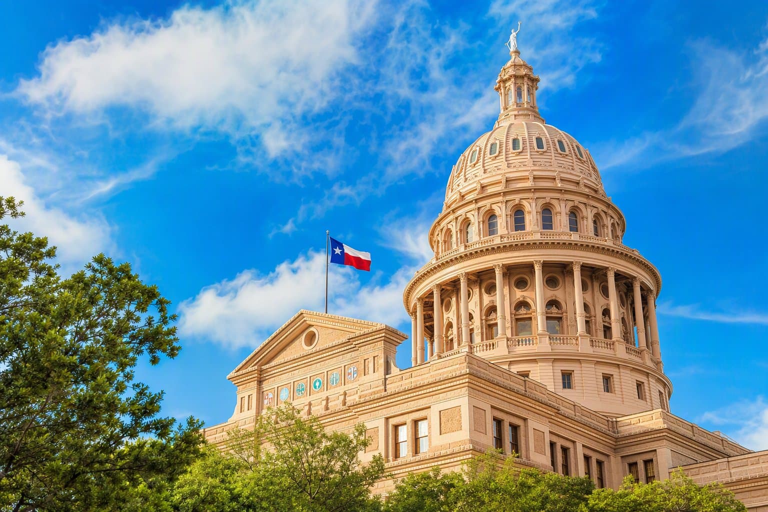 Texas Senate Race - illustration, Jake Team LLC